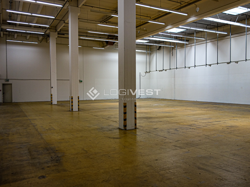 Vorschaubild Musterbild