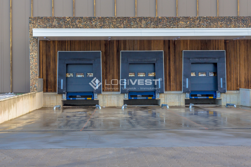 Vorschaubild Musterbild