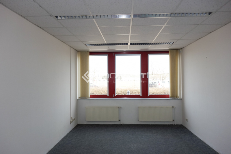 Vorschaubild Musterbild