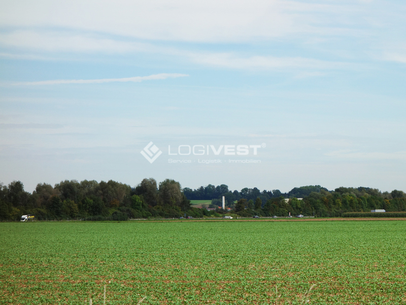 Vorschaubild Musterbild Grundstück