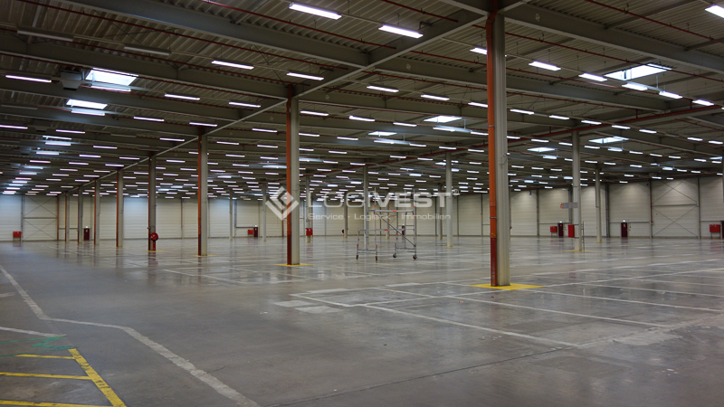 Vorschaubild Musterbild - Halleninnenansicht