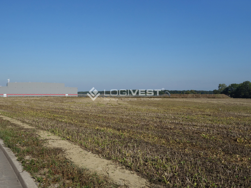 Vorschaubild Musterbild - Grundstücksfläche