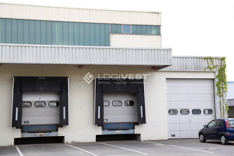 Vorschaubild Musterbild