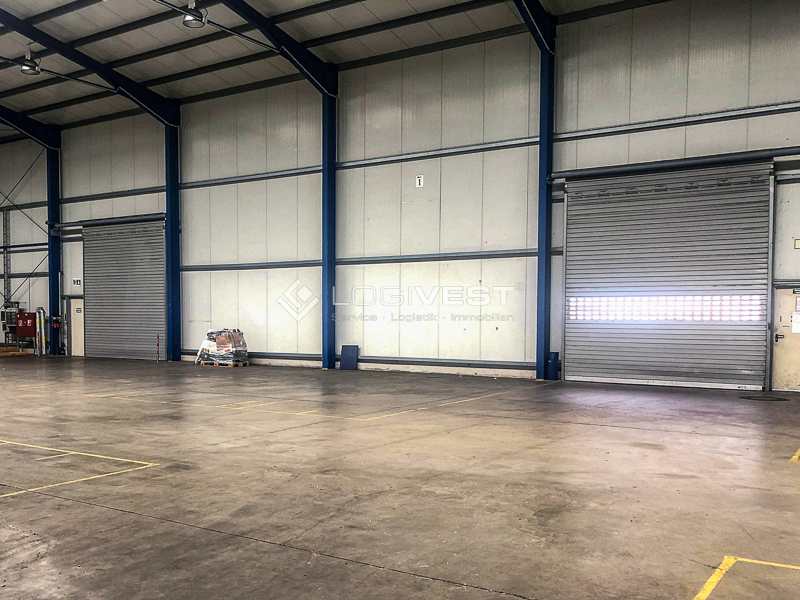 Vorschaubild Musterbild