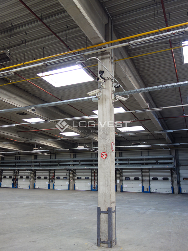 Vorschaubild Musterbild