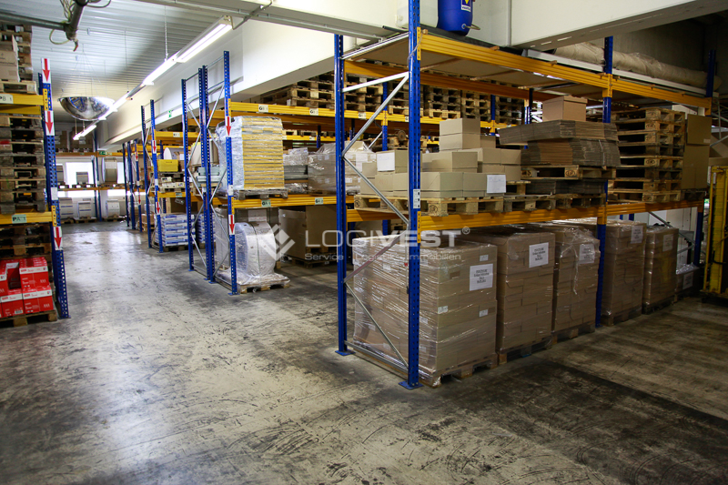 Vorschaubild Musterbild Regalierung