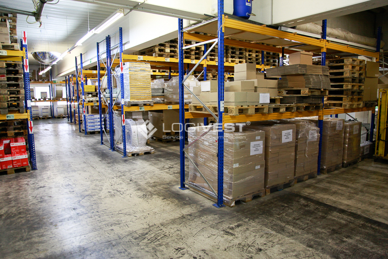 Vorschaubild Musterbild Regalierung