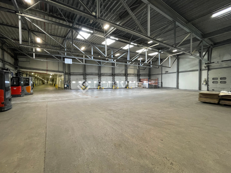 Vorschaubild Impressionen Hallenansicht I