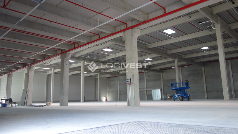 Vorschaubild Musterbild - Halleninnenansicht Neubau