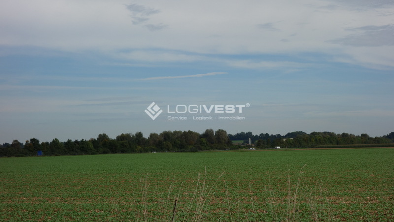 Vorschaubild Musterbild Grundstück