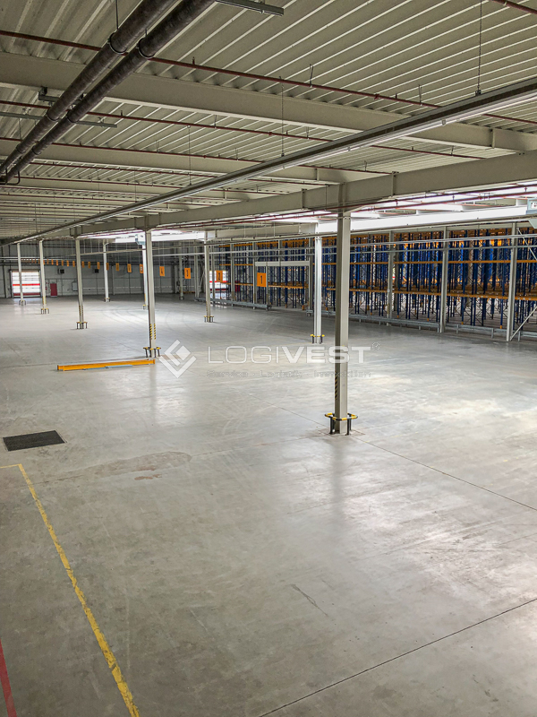 Vorschaubild Musterbild