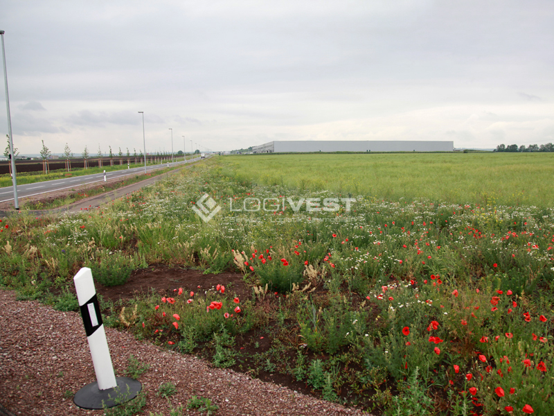 Vorschaubild Musterbild - Gewerbegrundstück