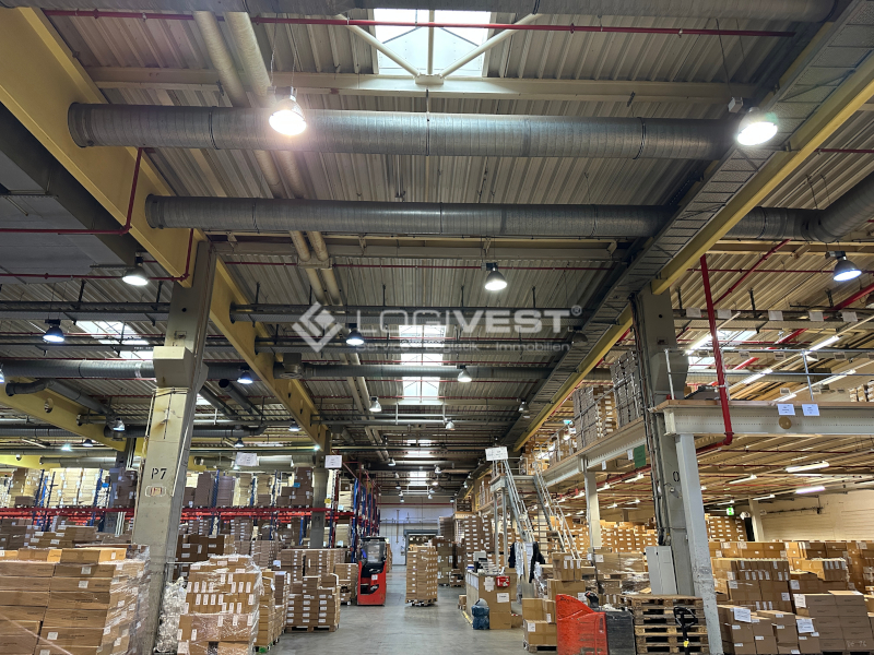 Vorschaubild Innenansicht