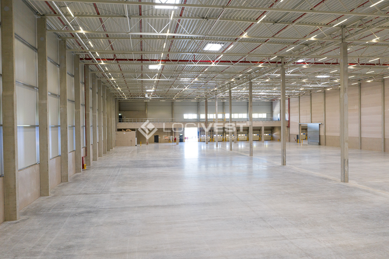 Vorschaubild Musterbild