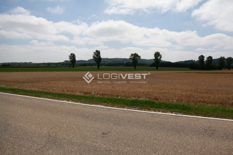 Vorschaubild Musterbild Freifläche