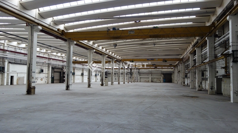 Vorschaubild Halleinnenansicht Halle O