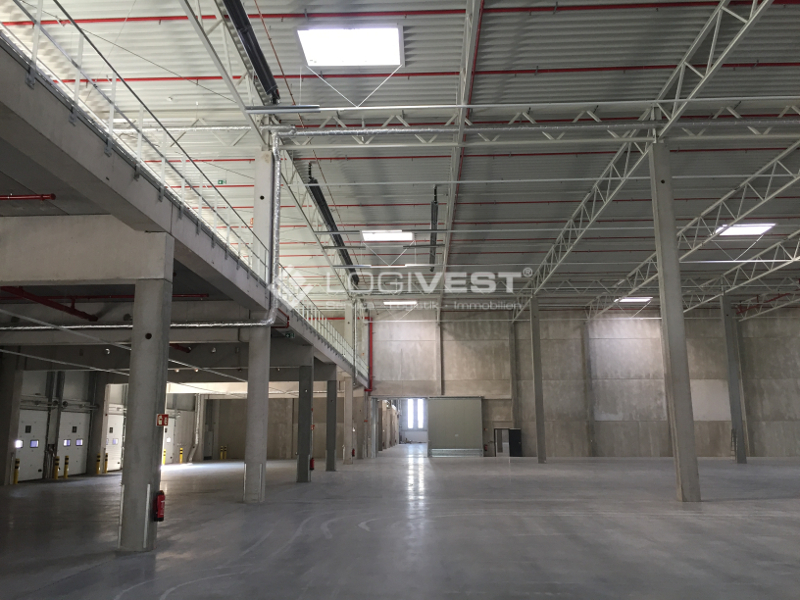 Vorschaubild Musterbild Halleninnenansicht mit Mezzanine
