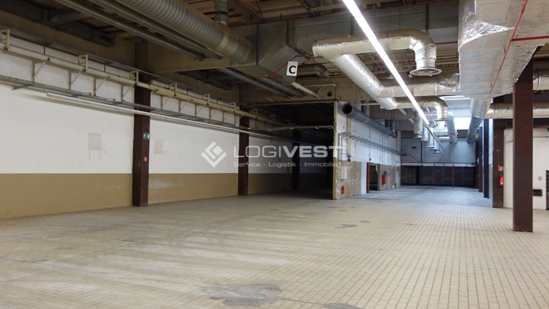 Vorschaubild Musterbild + 5000 m² Grundstück