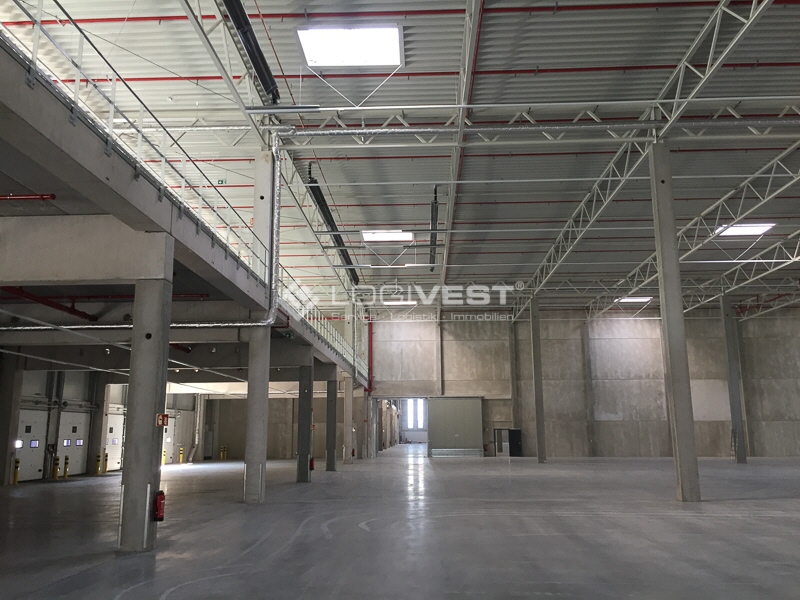 Vorschaubild Weiteres_Musterbild_Halleninnenansicht