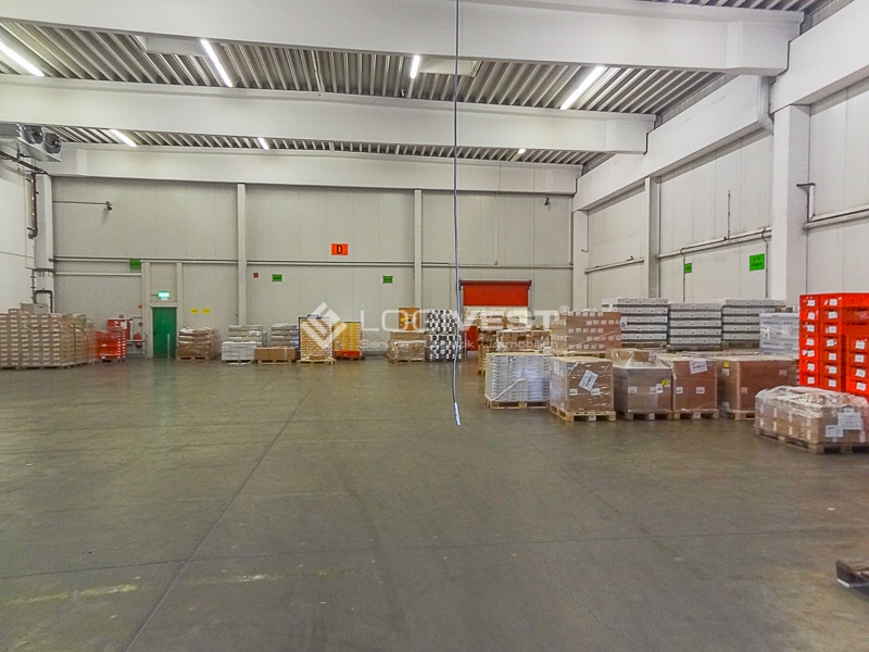 Vorschaubild Musterbild Halle