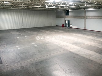 Miniaturbild Hallenfläche - Musterbild