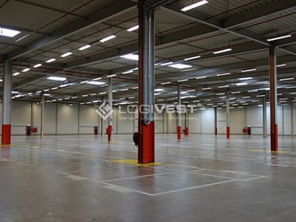 Miniaturbild Musterbild Hallenfläche
