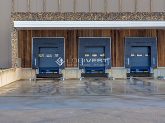 Miniaturbild Musterbild