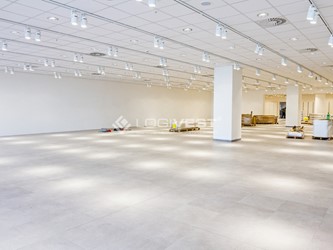 Miniaturbild Musterbild Ausstellungsfläche