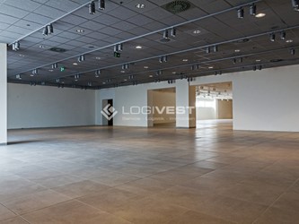 Miniaturbild Musterbild Showroom