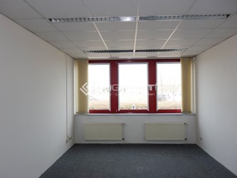 Miniaturbild Musterbild