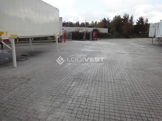 Miniaturbild Musterbild Freifläche II