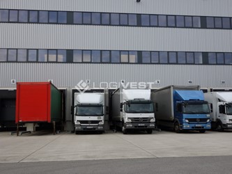 Miniaturbild Musterbild