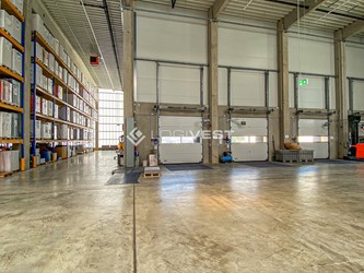 Miniaturbild Musterbild