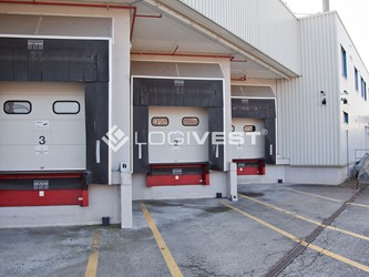 Miniaturbild Musterbild