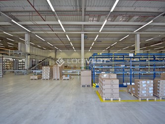 Miniaturbild Musterbild - Lagerfläche