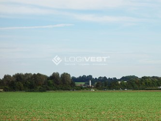 Miniaturbild Musterbild Grundstück