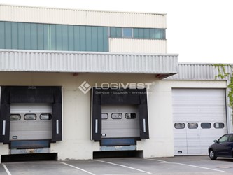 Miniaturbild Musterbild