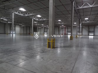 Miniaturbild Musterbild