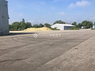 Miniaturbild Musterbild Freifläche