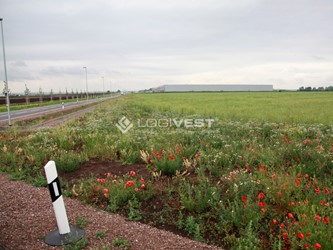 Miniaturbild Musterbild - Gewerbegrundstück