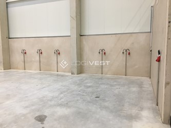 Miniaturbild Exemplarische Ansicht