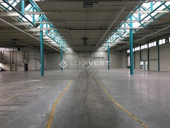 Miniaturbild Musterbild - Lagerfläche