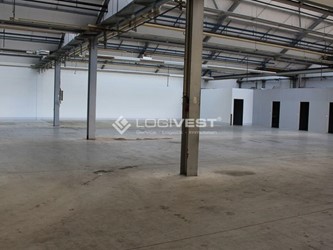 Mobile Vorschaubild Musterbild Halleninnenansicht