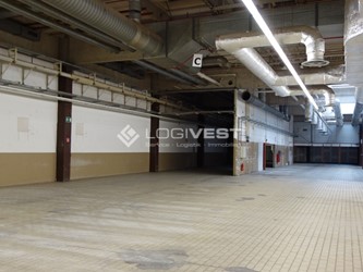 Mobile Vorschaubild Musterbild + 5000 m² Grundstück
